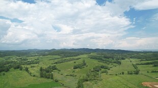 广袤绿野 蓝天白云美景
