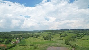 广袤绿野 蓝天白云美景