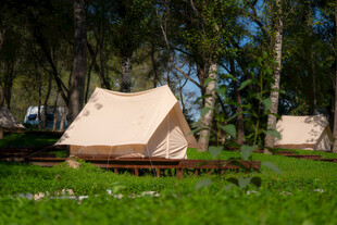 户外草地中的精致露营帐篷