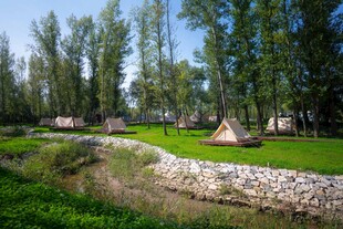 湖畔绿树环绕的露营场景