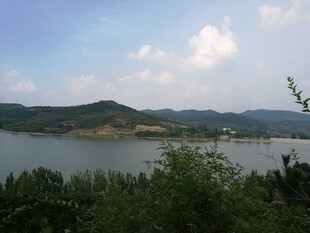 湖畔青山景 绿意盎然