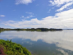 湖畔美景 蓝天白云映绿水