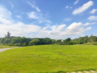 绿野蓝天的清新自然风景