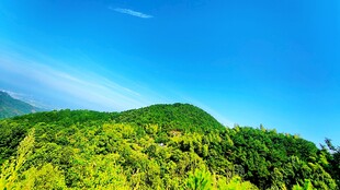 青山翠谷 蓝天之下绿意浓