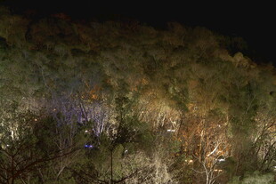 夜间山林灯光景观