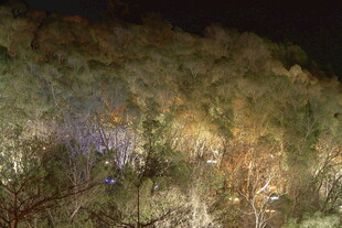 山林夜景灯光秀