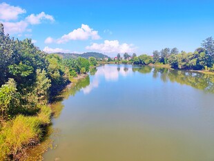 河畔风光 绿意盎然的美景
