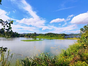 湖畔风光 自然美景如画