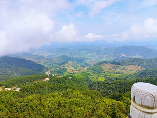 山巅远眺绿意盎然美景