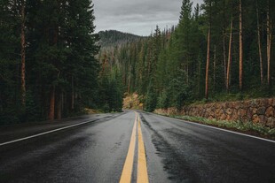 雨中林间公路