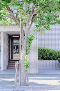 门前绿树环绕的建筑