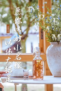 窗边清新小景与文艺摆件