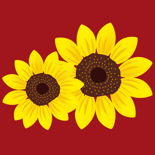 两朵向日葵插画