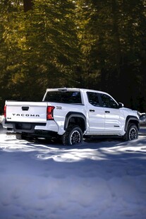 雪地中的白色皮卡