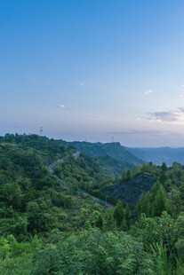 山间公路旁的葱郁绿意