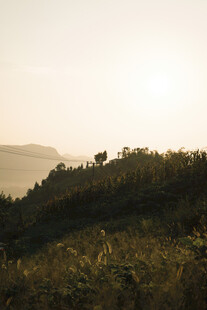 日落时分的山野风光