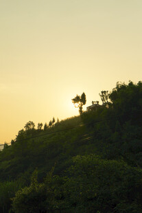 夕阳下的绿意山丘