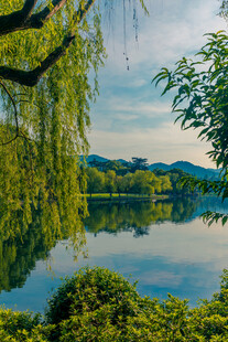 湖畔垂柳 山水如画美景