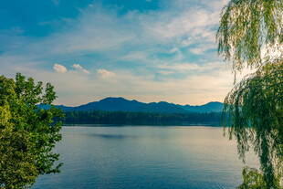 湖畔垂柳映远山美景