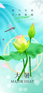 大暑海报