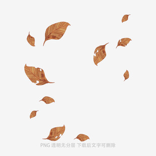 飘落的枯叶