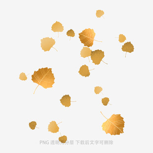 飘落的金色银杏叶