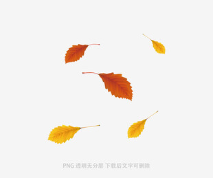 落叶