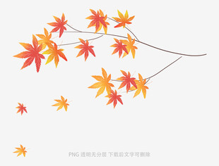 落叶