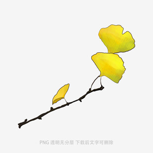 落叶