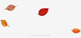 落叶