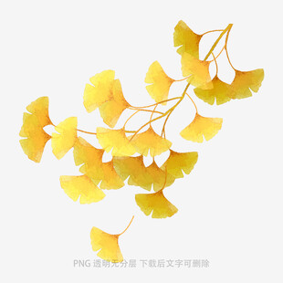 落叶