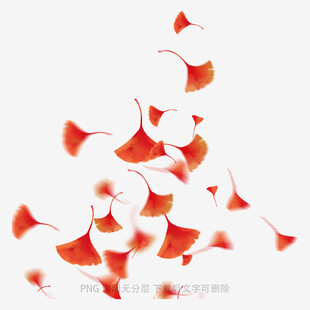 落叶