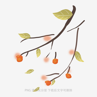 落叶