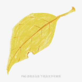 黄色枯叶特写