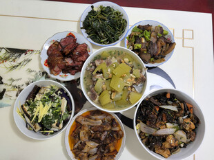 丰盛多样的美味菜肴