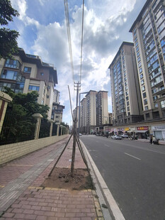 城市街道旁的高楼与道路