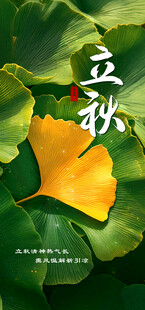 立秋海报