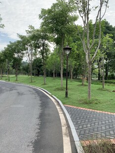 公园蜿蜒小路及周边景致