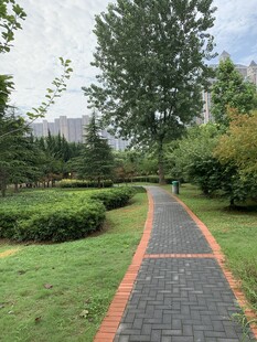 园林中的砖石小径