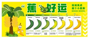 蕉好运