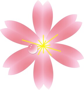 粉色樱花花朵图案