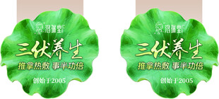 二伏节气荷叶装饰元素
