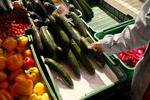 挑选新鲜蔬菜场景