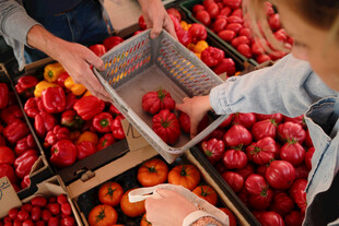 市场中挑选番茄的场景