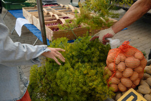 农贸市场蔬菜交易场景