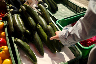 挑选新鲜黄瓜的场景