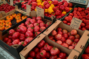 新鲜多样的盒装蔬果展示