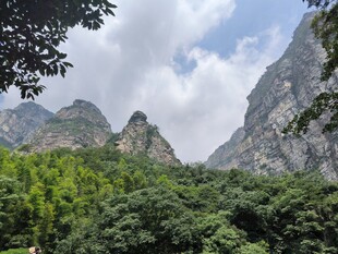 青山绿树间的壮丽山景
