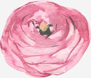 手绘粉色花朵水彩画
