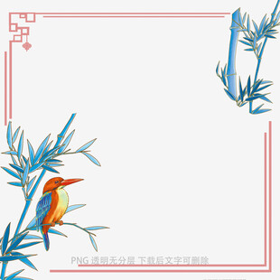翠竹间翠鸟的灵动瞬间